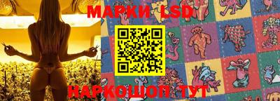 сатива Бузулук