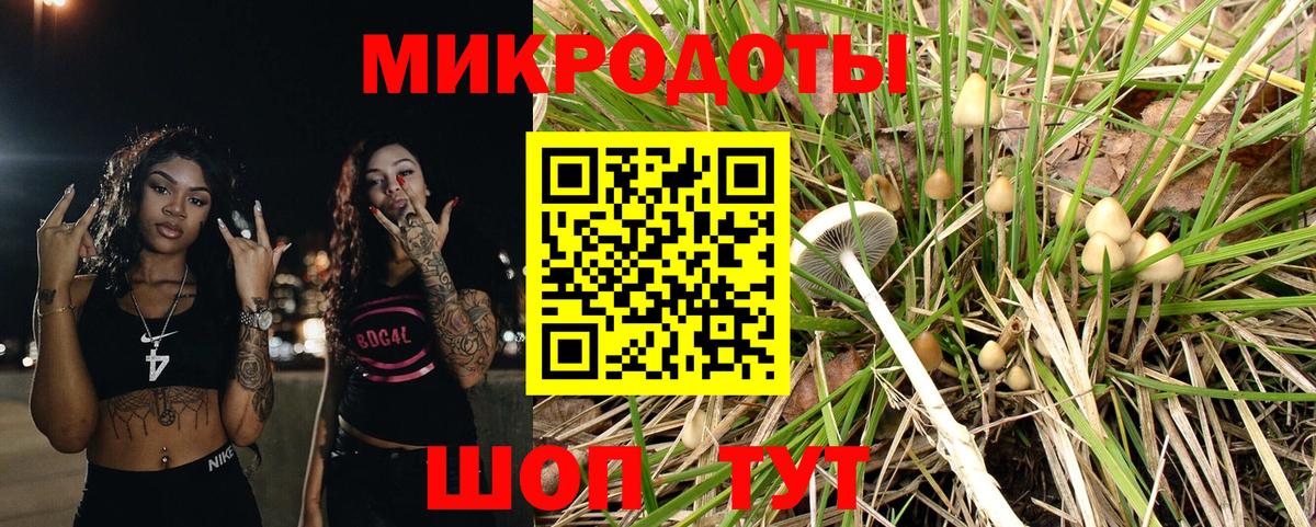 Кыштым  Псилоцибиновые грибы прущие грибы  закладки  Вход с VPN 