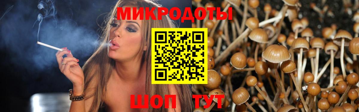 Псилоцибиновые грибы мицелий Кыштым